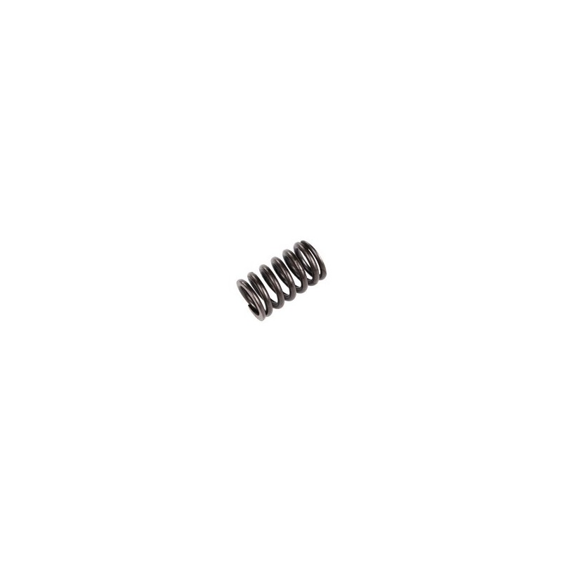 Valve spring D4192T2, D4192T3, D4192T4