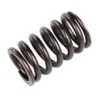 Valve spring D4192T2, D4192T3, D4192T4