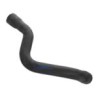 Radiator hose upper