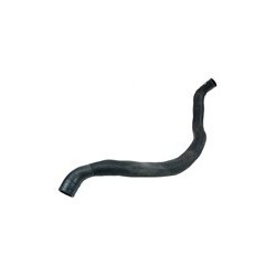 Radiator hose lower D5244T- to '04