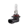 Bulb HB3 Headlight 12 V 60 W