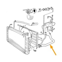 Radiator hose lower Engine cooler - Termostat housing