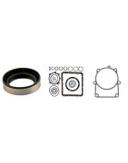 Seals & gaskets Automatic transmission